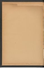 k.k. naturhistorisches Hofmuseum, Protokollbuch Intendanzakten 1890, Seite 4